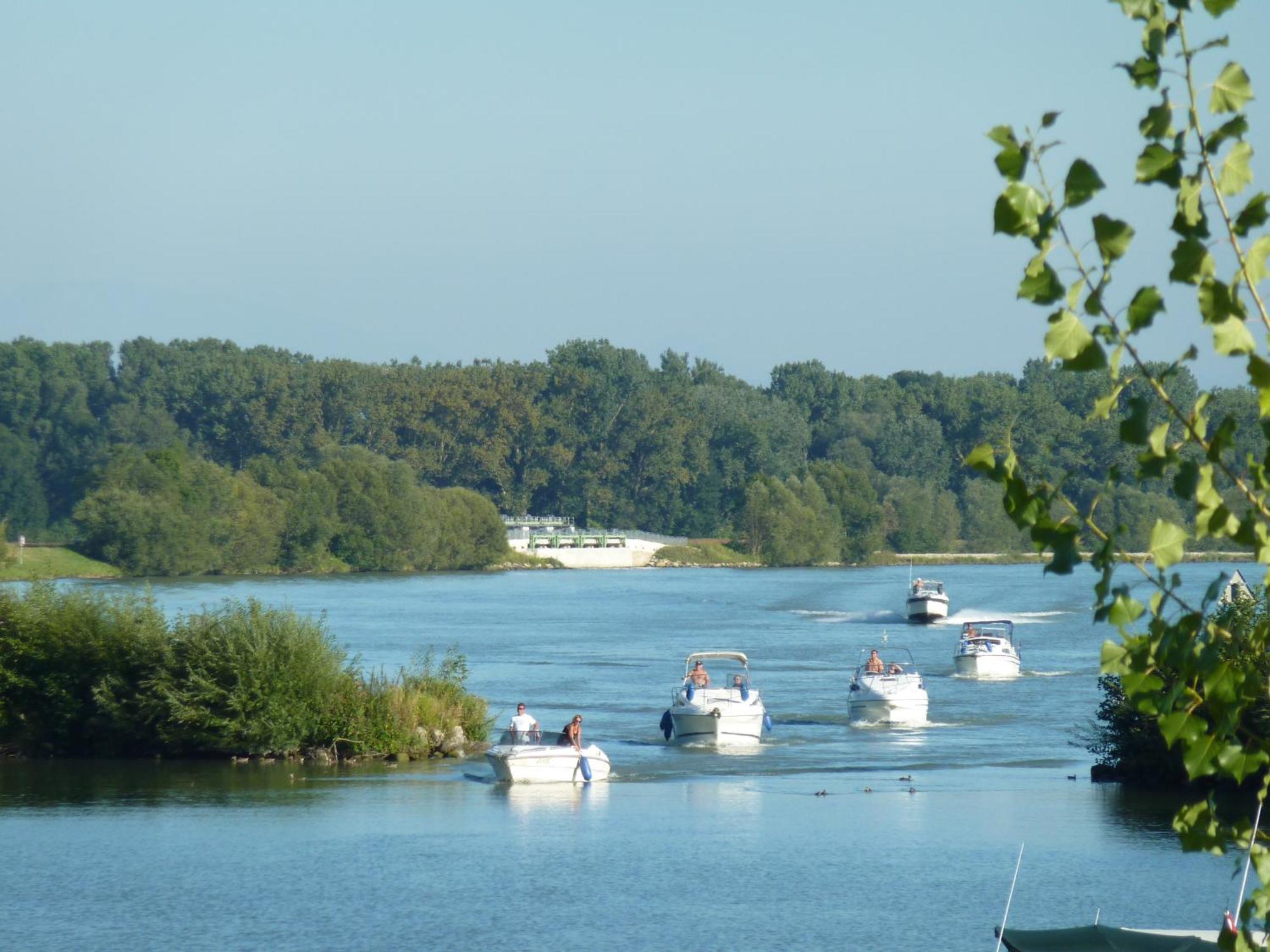 Camping & Pension Au An Der Donau Luaran gambar